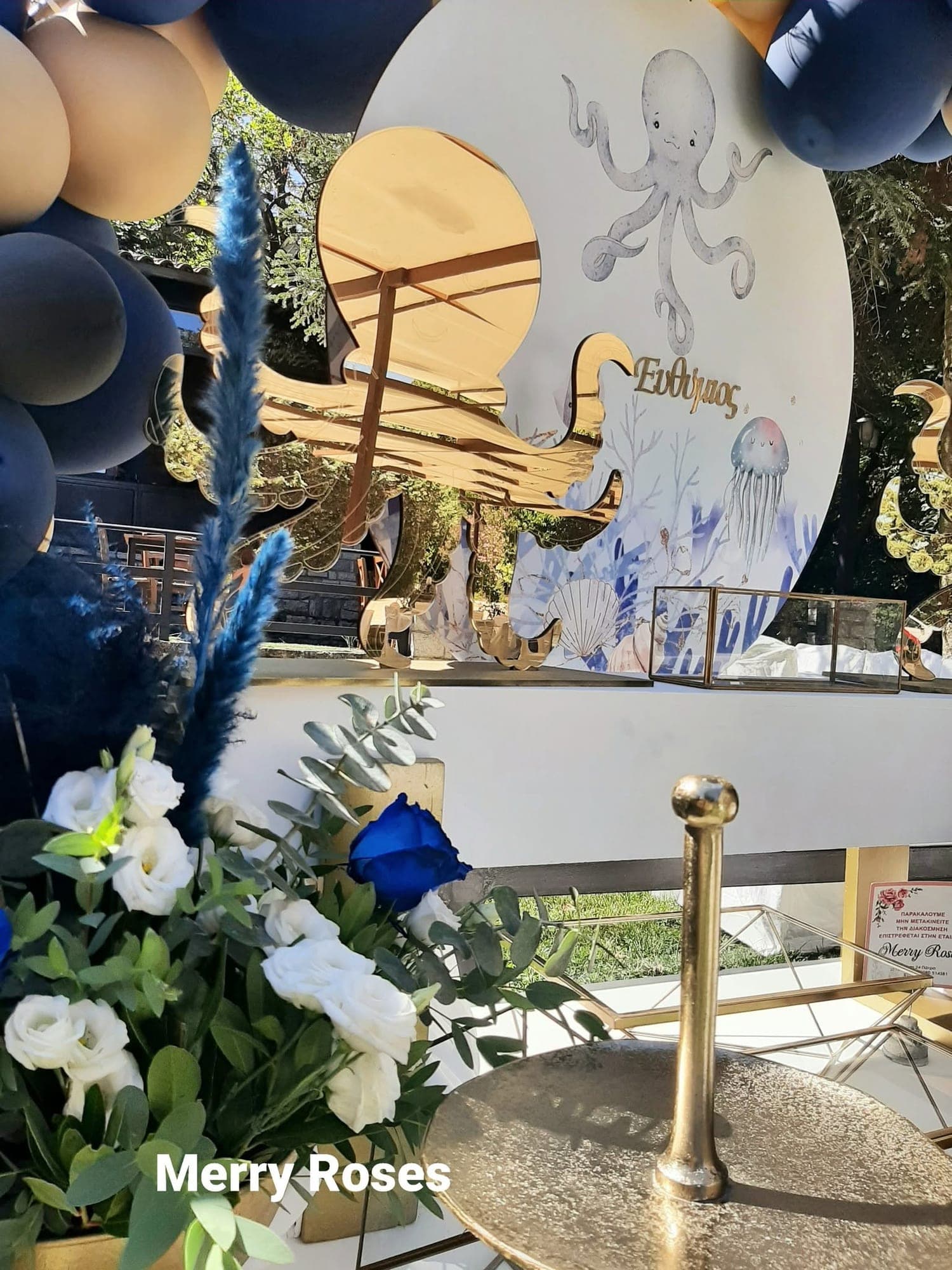 Ένα χταπόδι σε navy και χρυσό · ο Ευθύμιος — 4